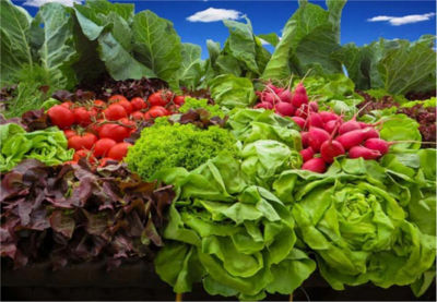 VERDURAS HORTALIZAS