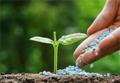 FERTILIZANTES